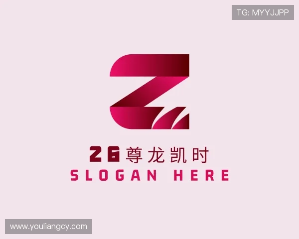 了解z6尊龙凯时